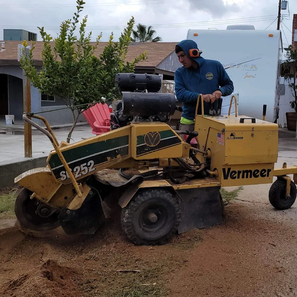 Reliable yard maintenance in Bakersfield, CA - Marco Stump Grinding