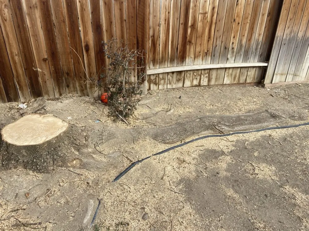 Professional lawn care service in Bakersfield, CA - Marco Stump Grinding