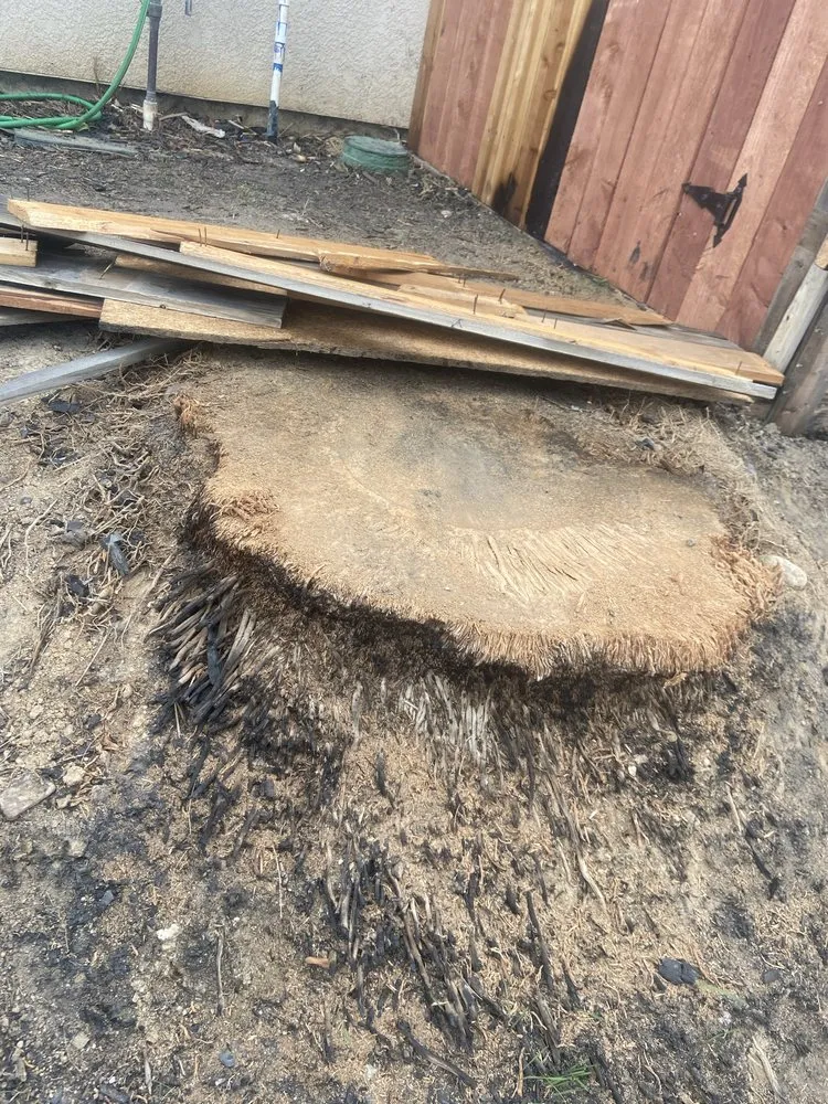 Reliable lawn mowing service for outdoor upgrades in Bakersfield, CA by Marco Stump Grinding