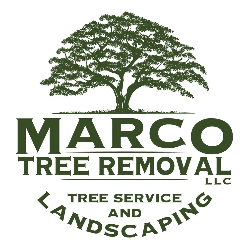 Custom lawn care service for beautiful yards across Marietta, GA - Marco Tree Removal
