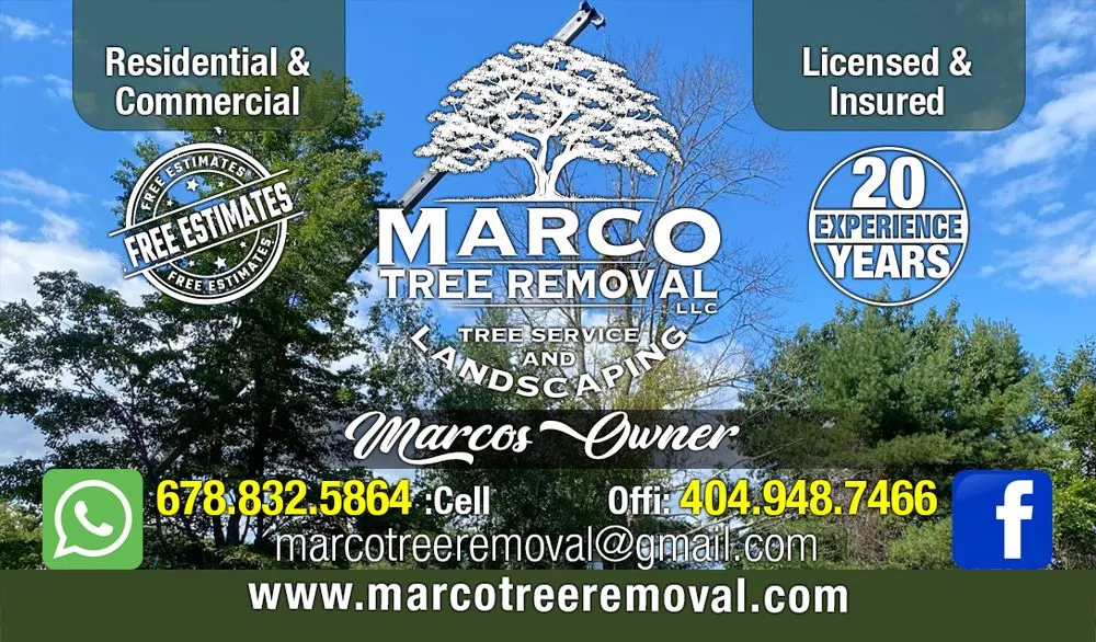 Professional outdoor landscaping in Marietta, GA by Marco Tree Removal