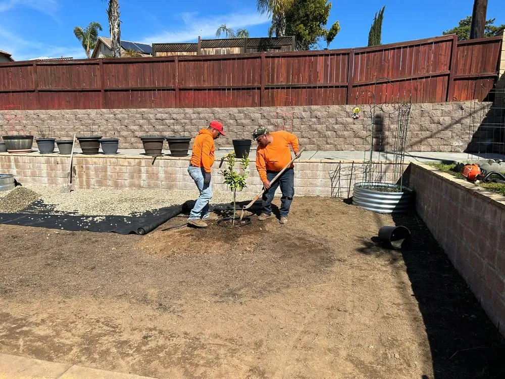 Affordable landscaping services for homes in Riverside, CA by Marco Tree Service