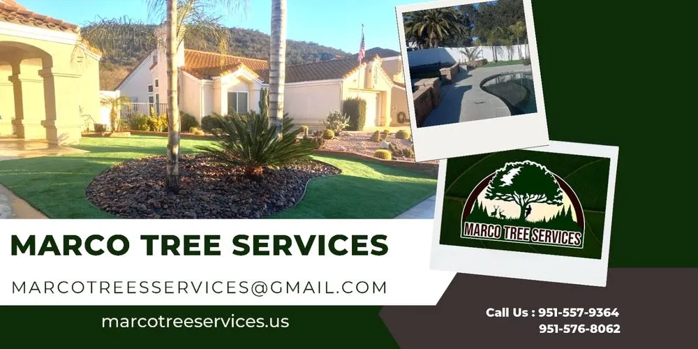 Custom yard cleanup service experts serving Riverside, CA - Marco Tree Service
