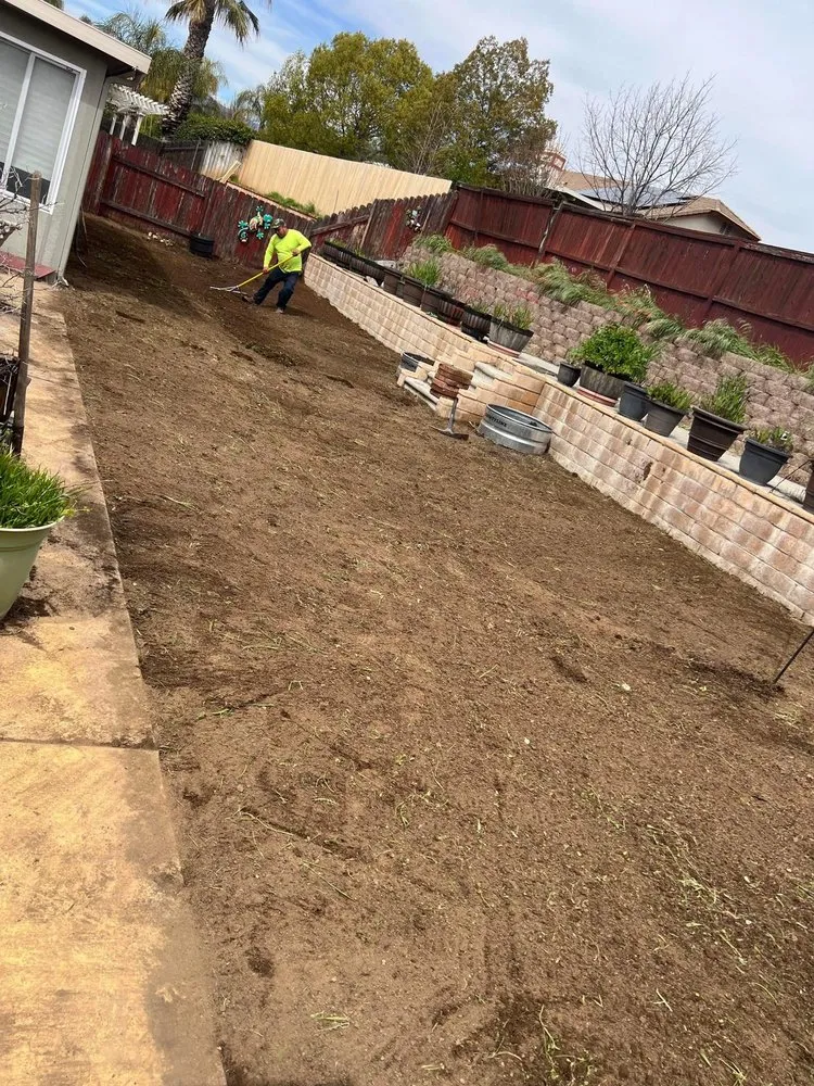 Top-rated landscaping services for beautiful yards across Riverside, CA - Marco Tree Service