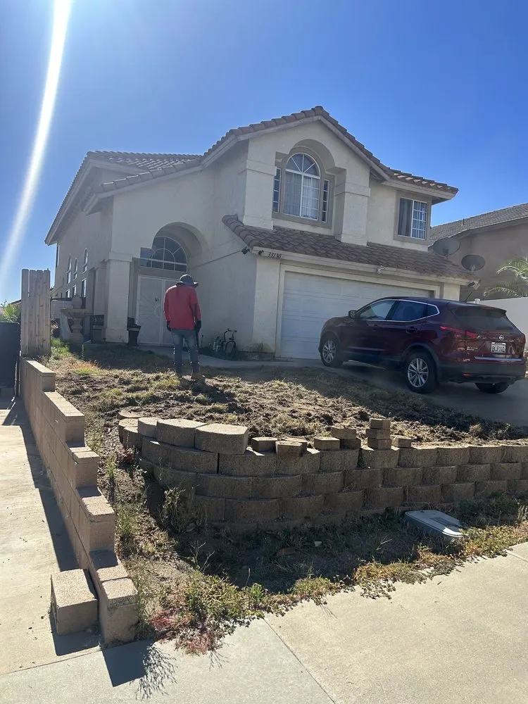 Top-rated yard maintenance experts serving Riverside, CA - Marco Tree Service
