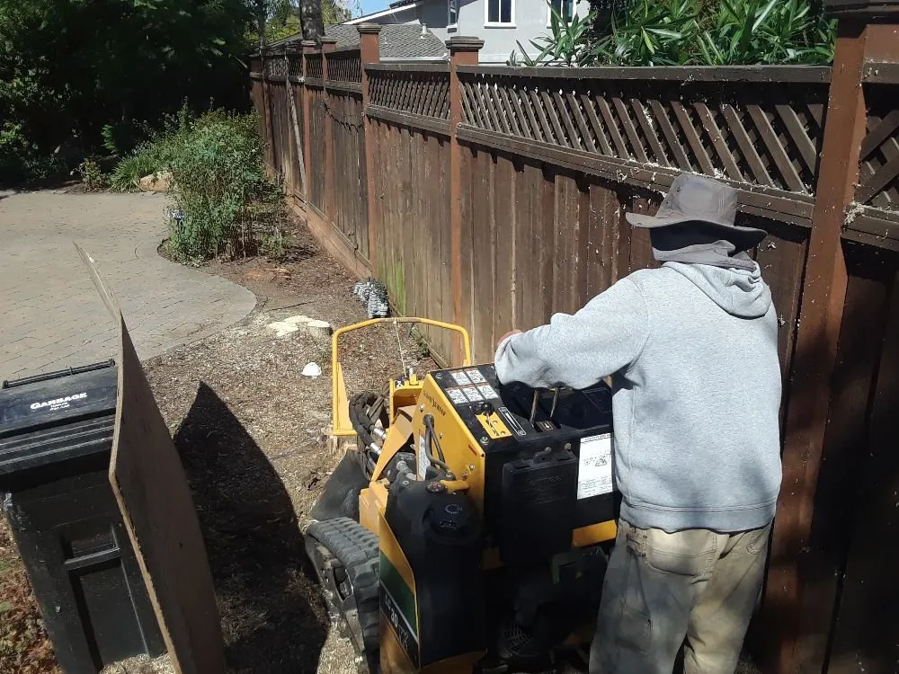 Top-rated lawn mowing service in San Jose, CA - Marco Tree Services