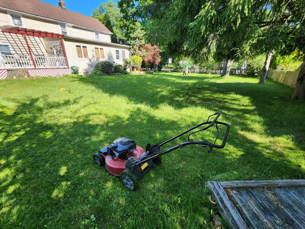 Expert yard cleanup service in Port Jefferson, NY - Marco yard cleaning