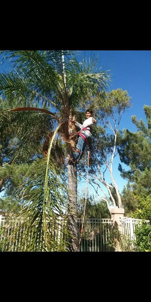 Reliable garden landscaping experts serving Lake Forest, CA - Marco's Garden Services