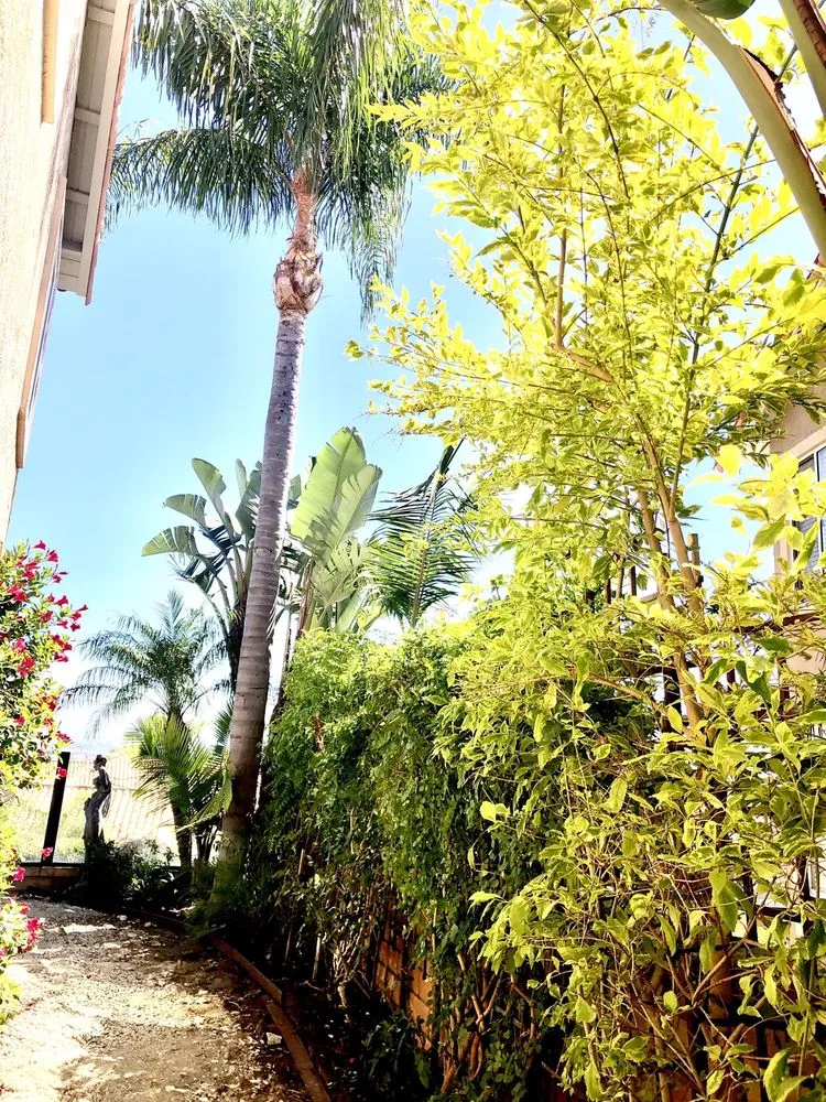 Professional lawn care service in Lake Forest, CA - Marco's Garden Services