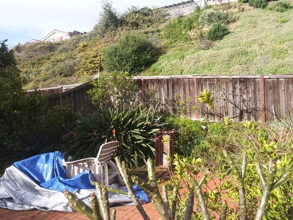 Top-rated outdoor landscaping for residential properties across Lake Forest, CA - Marco's Garden Services