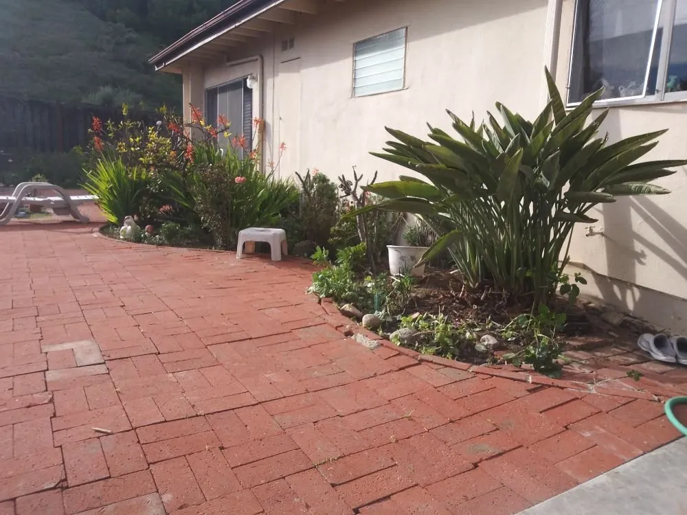 Reliable landscape design in Lake Forest, CA - Marco's Garden Services