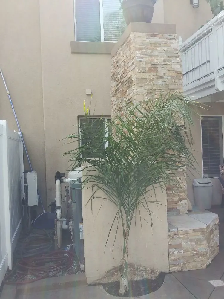 Local residential landscaping for homes in Lake Forest, CA by Marco's Garden Services