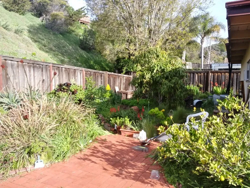 Top-rated yard cleanup service for year-round maintenance in Lake Forest, CA by Marco's Garden Services