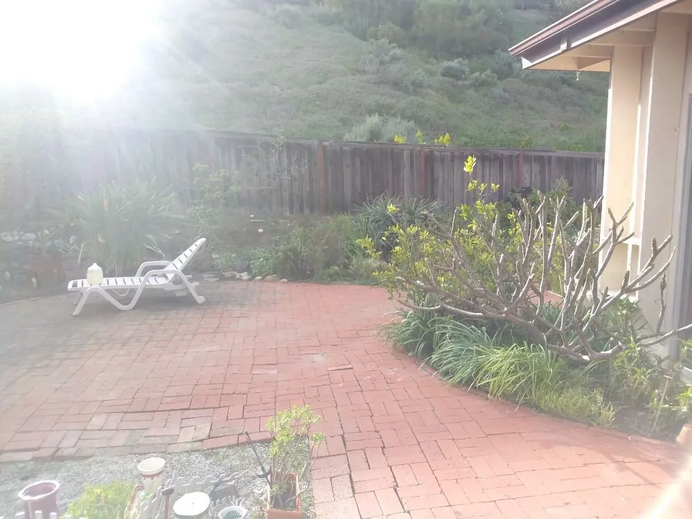 Reliable lawn mowing service for beautiful yards across Lake Forest, CA - Marco's Garden Services