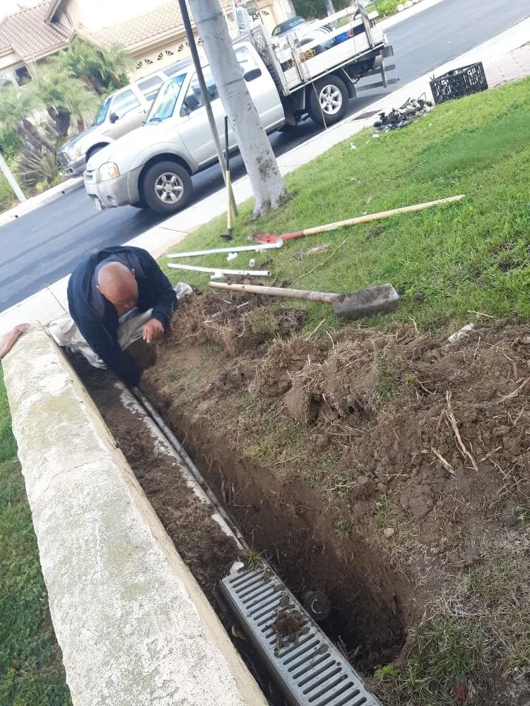 Affordable lawn care service in Lake Forest, CA by Marco's Garden Services