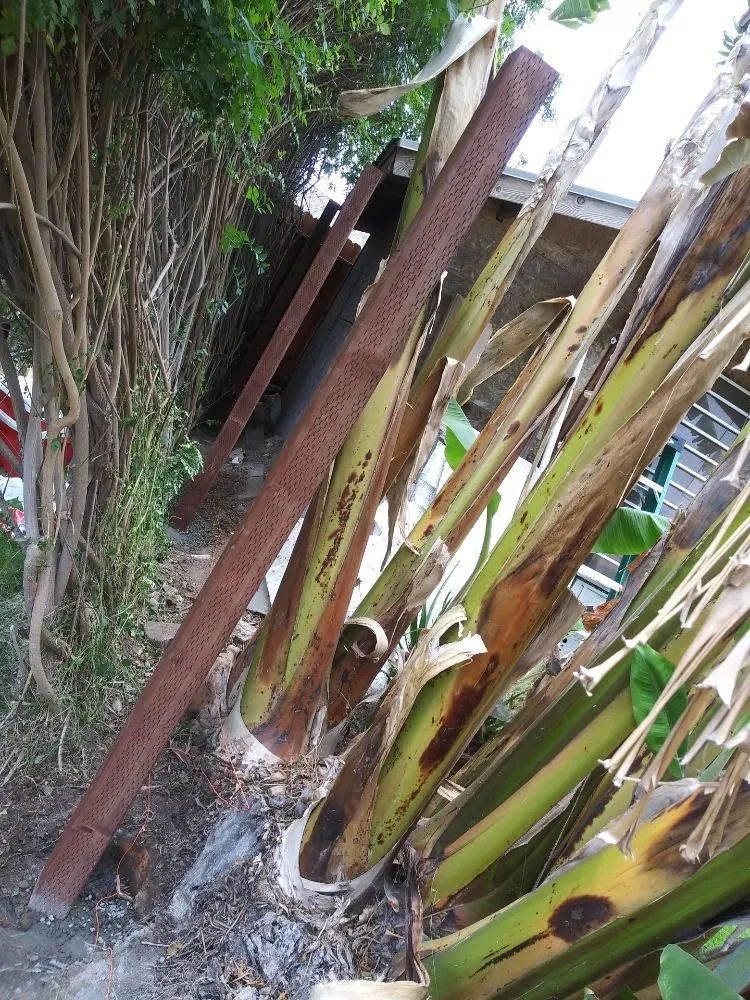 Professional garden landscaping in Lake Forest, CA by Marco's Garden Services