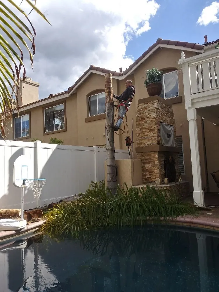 Affordable residential landscaping for outdoor upgrades in Lake Forest, CA by Marco's Garden Services