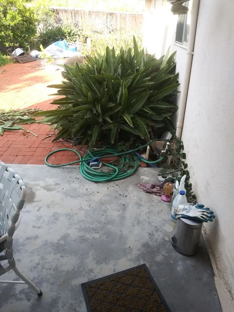 Professional landscape installation for residential properties in Lake Forest, CA by Marco's Garden Services