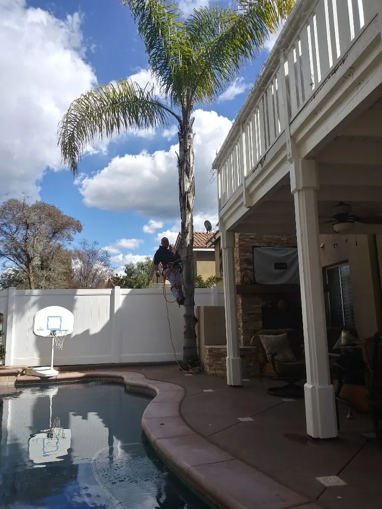 Local residential landscaping experts serving Lake Forest, CA - Marco's Garden Services