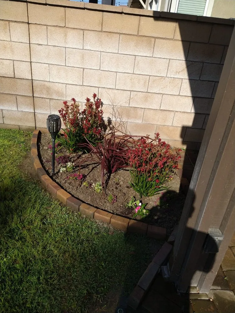 Top-rated yard maintenance in Adelanto, CA - Marco's Gardening & Landscaping Services