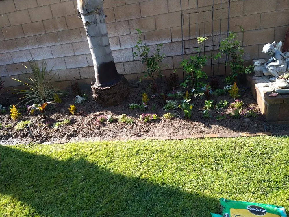 Expert landscaping services experts serving Adelanto, CA - Marco's Gardening & Landscaping Services