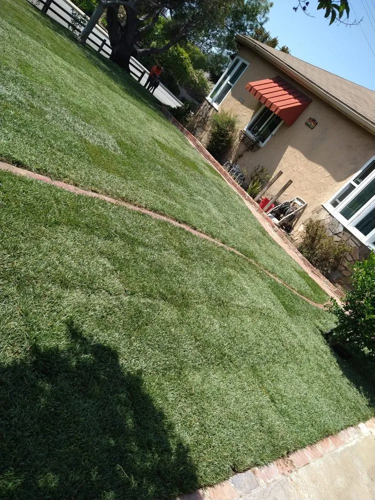 Affordable landscape design in Adelanto, CA - Marco's Gardening & Landscaping Services