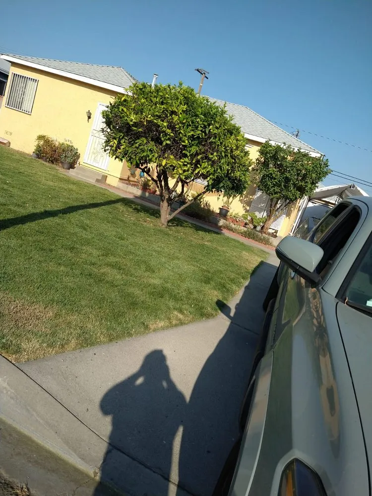 Professional landscape installation experts serving Adelanto, CA - Marco's Gardening & Landscaping Services