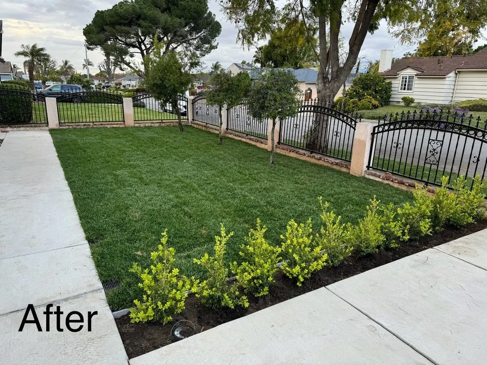 Local yard cleanup service for homes in Adelanto, CA by Marco's Gardening & Landscaping Services