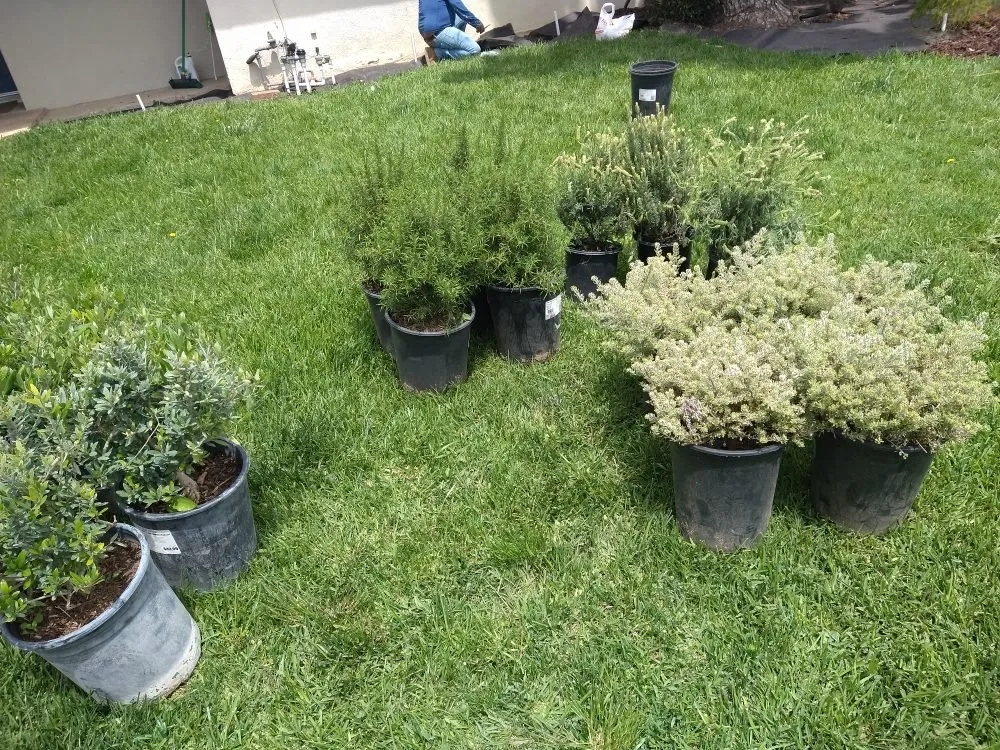 Expert garden landscaping in Adelanto, CA by Marco's Gardening & Landscaping Services