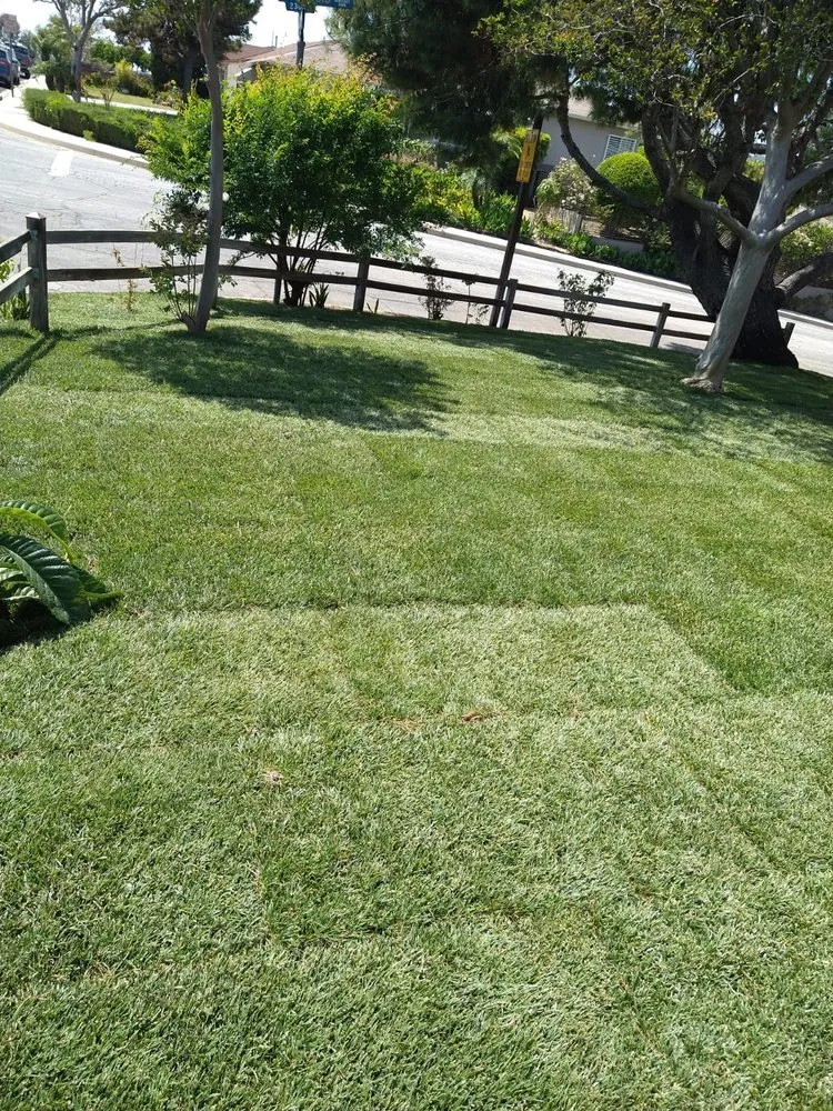 Expert outdoor landscaping experts serving Adelanto, CA - Marco's Gardening & Landscaping Services