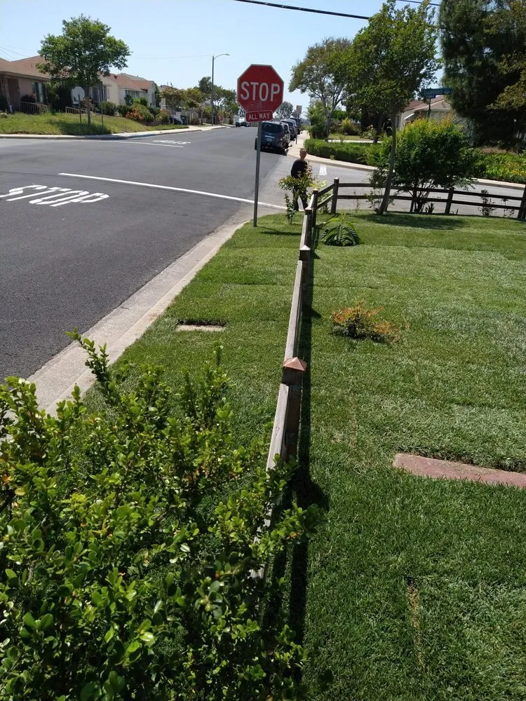 Custom yard maintenance in Adelanto, CA by Marco's Gardening & Landscaping Services