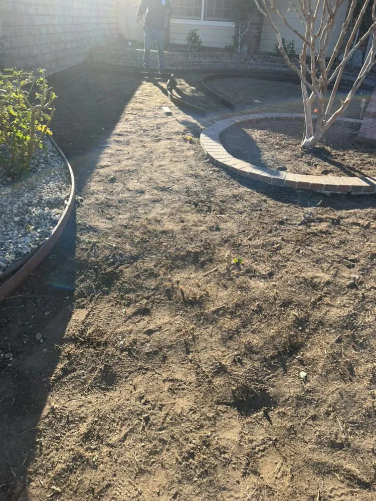 Custom lawn mowing service for year-round maintenance in Santa Clarita, CA by Marco’s Gardening Service