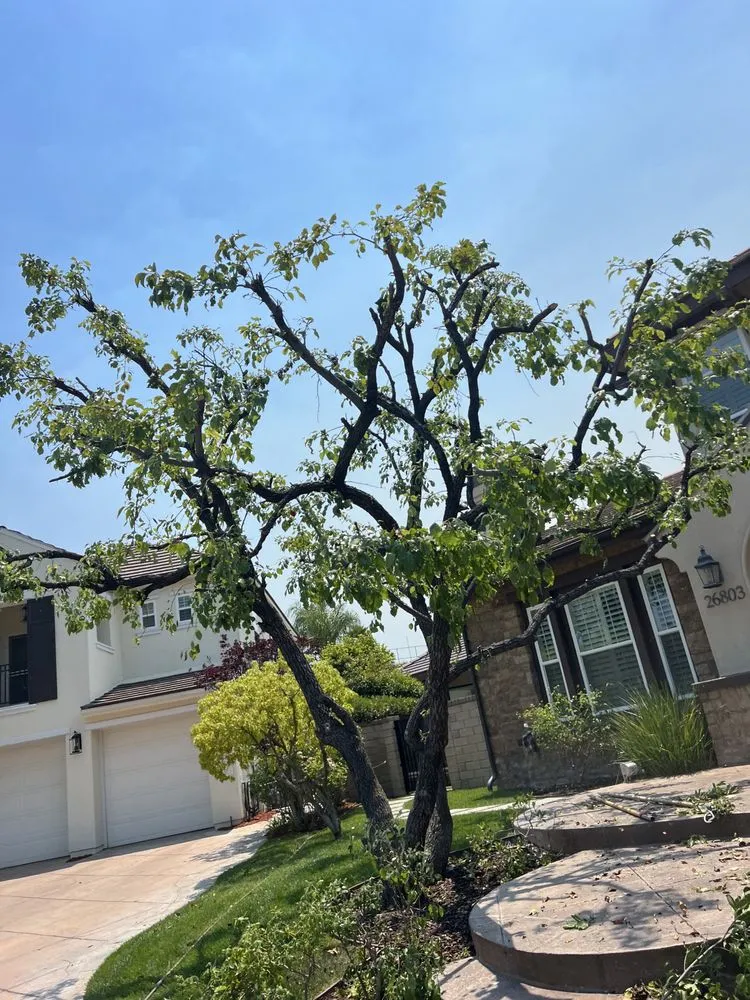 Reliable lawn mowing service experts serving Santa Clarita, CA - Marco’s Gardening Service