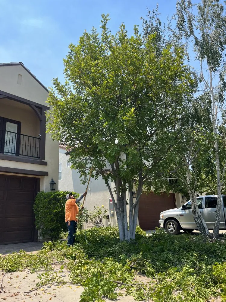 Top-rated landscape installation in Santa Clarita, CA - Marco’s Gardening Service