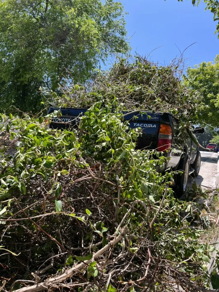Custom lawn care service for year-round maintenance across Santa Clarita, CA - Marco’s Gardening Service