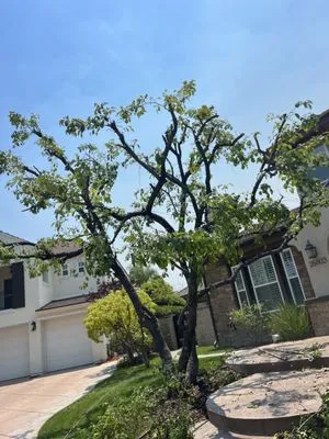 Marco’s Gardening Service Logo