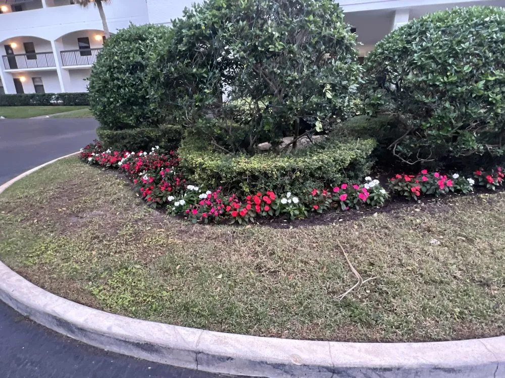 Affordable lawn care service in Riviera Beach, FL by Marcos Landscaping and Gardening