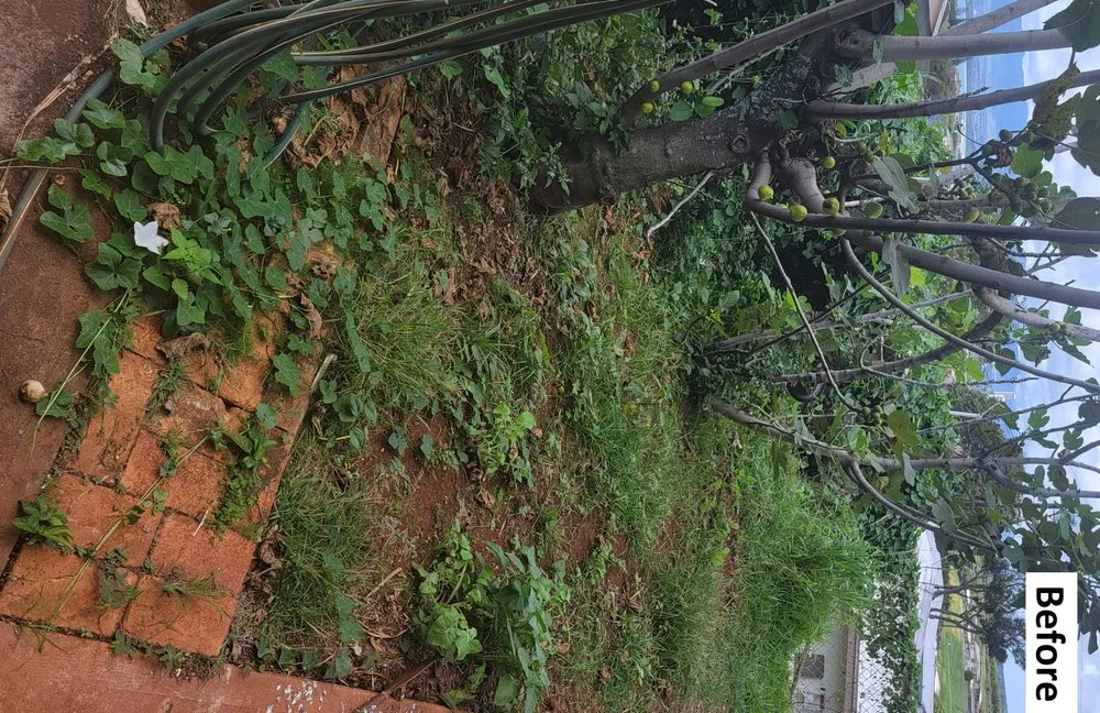 Trusted lawn mowing service in Waipahu, HI by Marcos Landscaping Maintenance & Yard Service