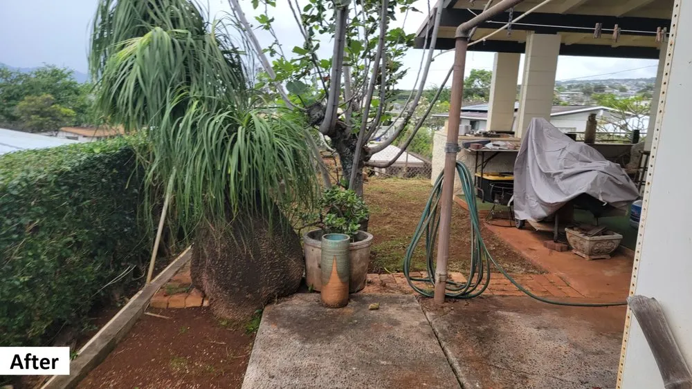 Expert landscaping services experts serving Waipahu, HI - Marcos Landscaping Maintenance & Yard Service