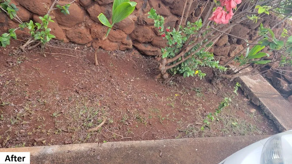 Top-rated yard cleanup service experts serving Waipahu, HI - Marcos Landscaping Maintenance & Yard Service