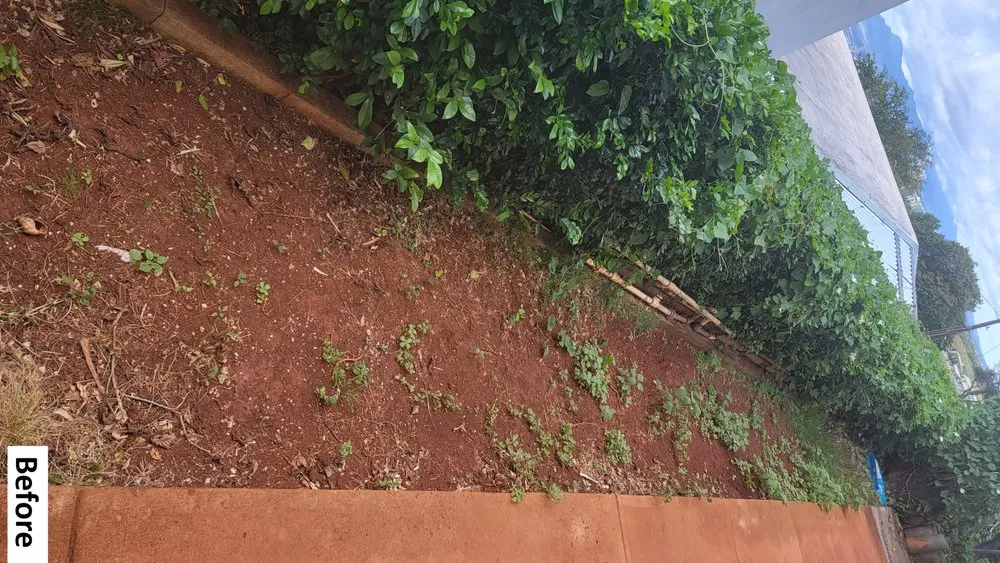 Professional lawn care service in Waipahu, HI - Marcos Landscaping Maintenance & Yard Service