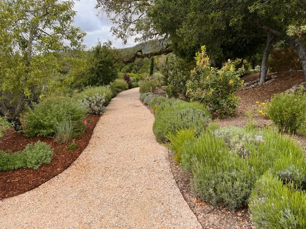 Top-rated landscape installation for outdoor upgrades in Sonoma, CA by Marcos Landscaping Maintenance