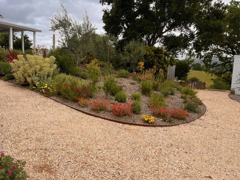 Top-rated lawn mowing service experts serving Sonoma, CA - Marcos Landscaping Maintenance