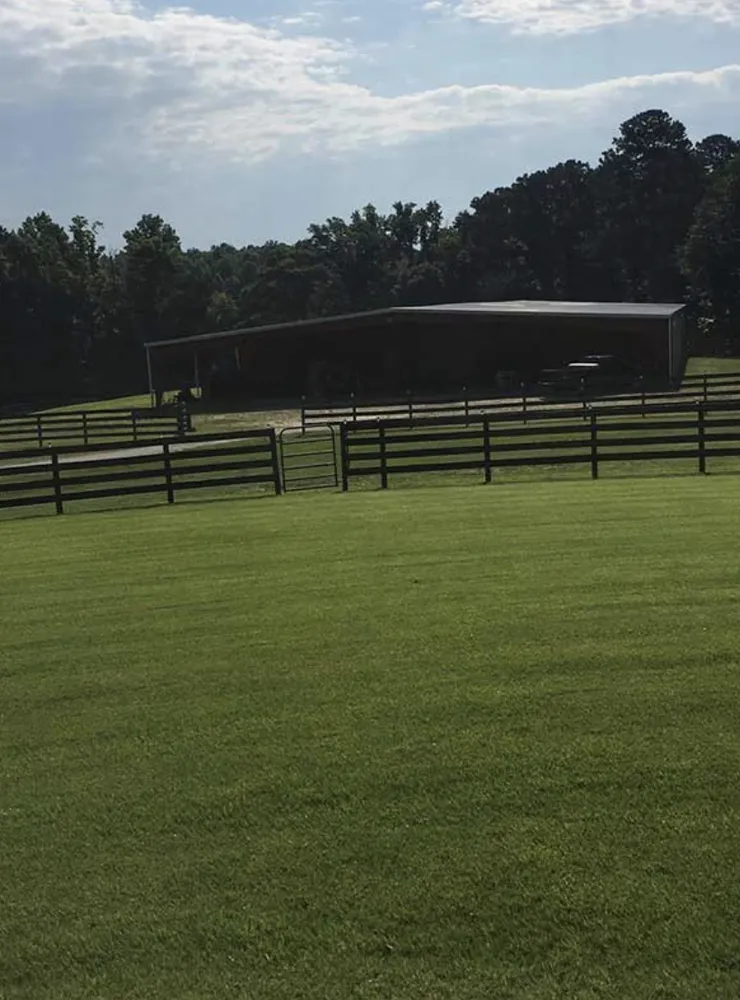 Professional landscaping services for year-round maintenance across Newnan, GA - Marcos Landscaping Services