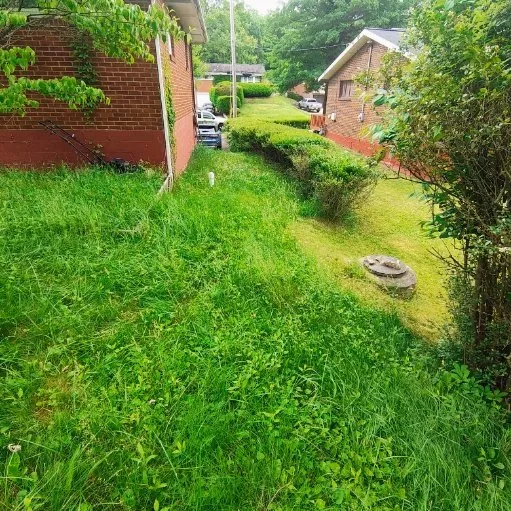 Custom yard cleanup service in Rankin, PA - Marcos Lawn Care and Snow Maintenance