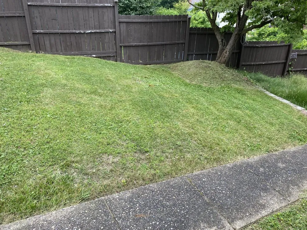 Trusted yard cleanup service in Rankin, PA - Marcos Lawn Care and Snow Maintenance
