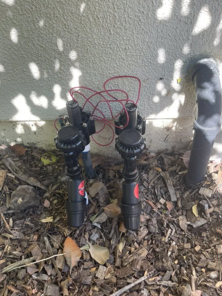 Professional landscape design for year-round maintenance across Livermore, CA - Marco’s Lawn Care