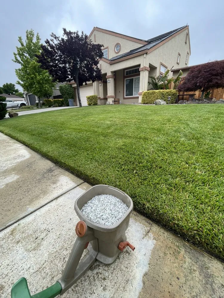 Local landscape installation for outdoor upgrades across Livermore, CA - Marco’s Lawn Care