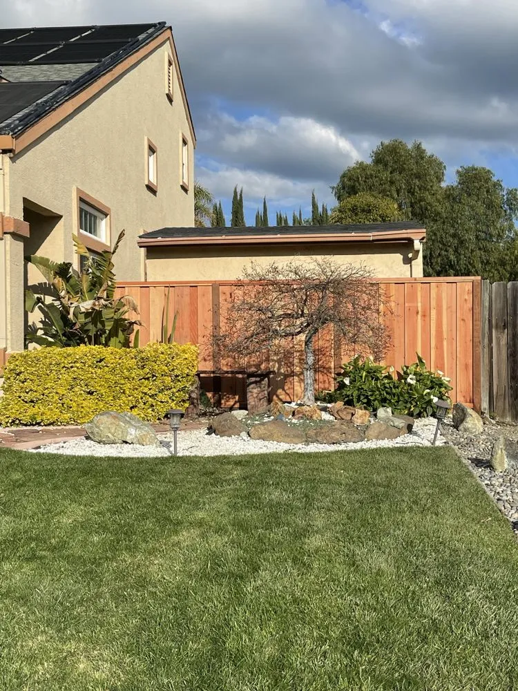 Professional lawn care service experts serving Livermore, CA - Marco’s Lawn Care