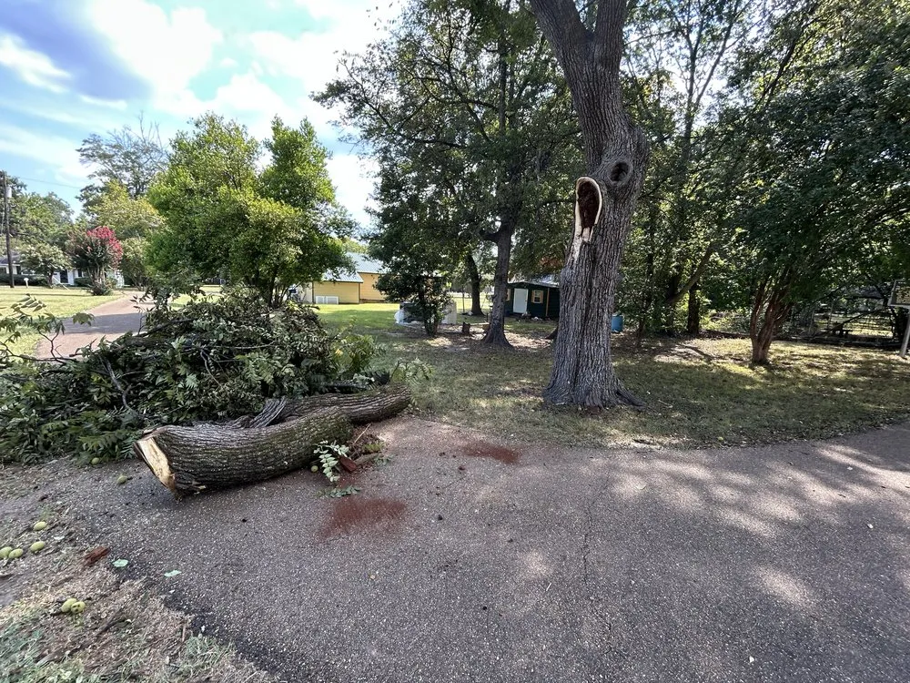 Affordable outdoor landscaping near you in Indianola, MS by Marco’s Lawncare